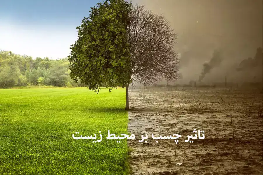 اثرات چسب
